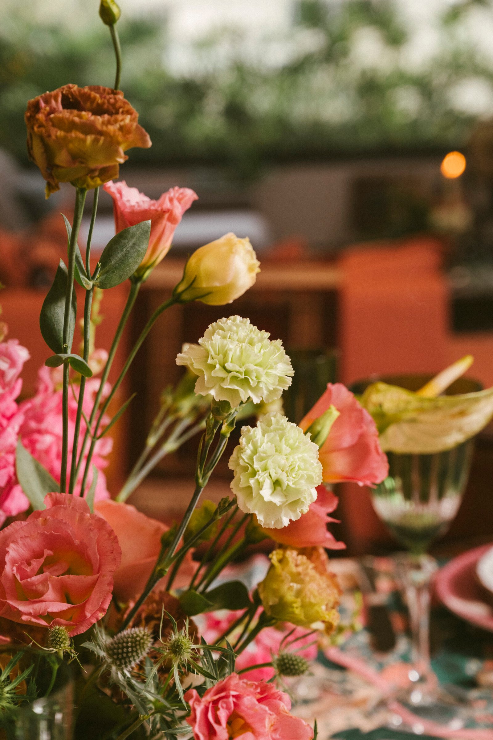 The Beauty of Occasion