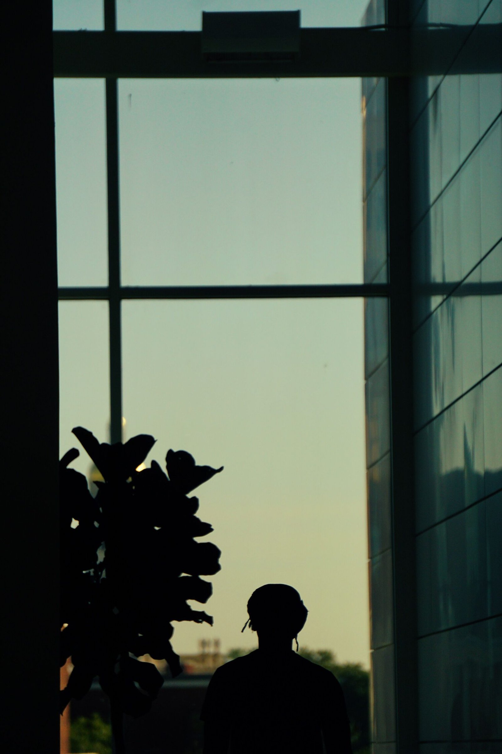 A figure in silhouette stands before a tall window, a glass facade and the city beyond.